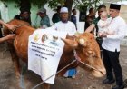Sambut Idul Adha 1447 H, Danrem 082/CPYJ Serahkan 19 Ekor Hewan Qurban Ke Panitia